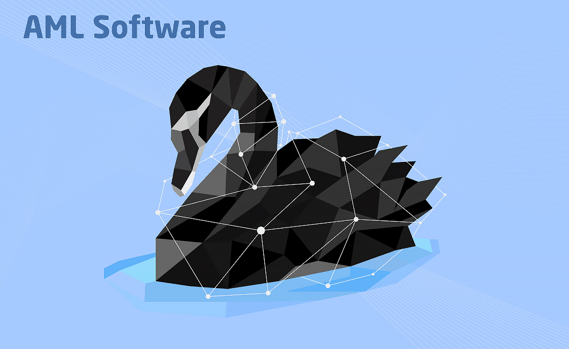 Chudovo OÜ Project - AML Software Development and Maintenance