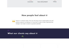 RapidWebLaunch Project - Website design for a consultant