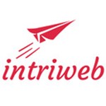 Intriweb.com Marketing, SEO, SEM Benjamin Löwen Logo