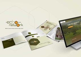 Tea & Oranges Design Project - Branding, Website & Publication design
