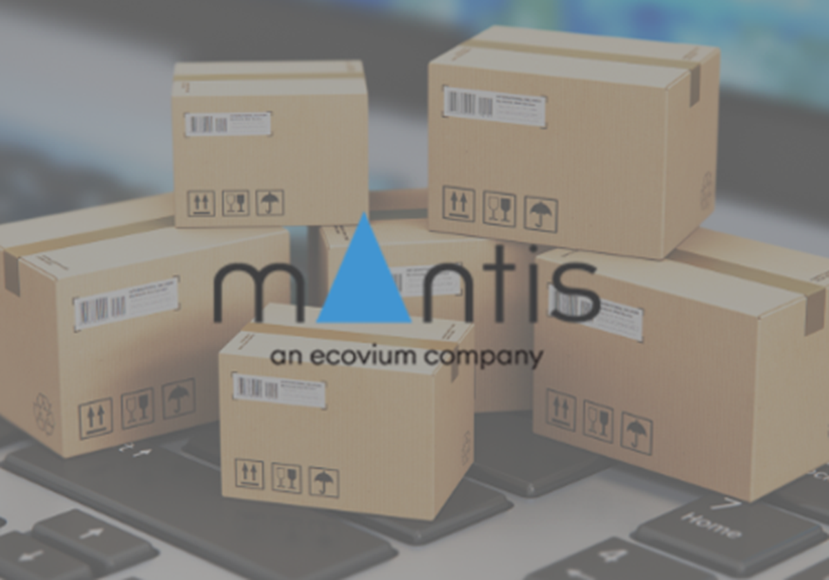 Mantis LVS's Organic SEO Success Story - Mantis Group