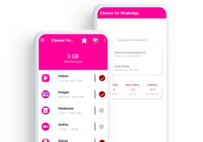 Boxinall Project - Status Saver