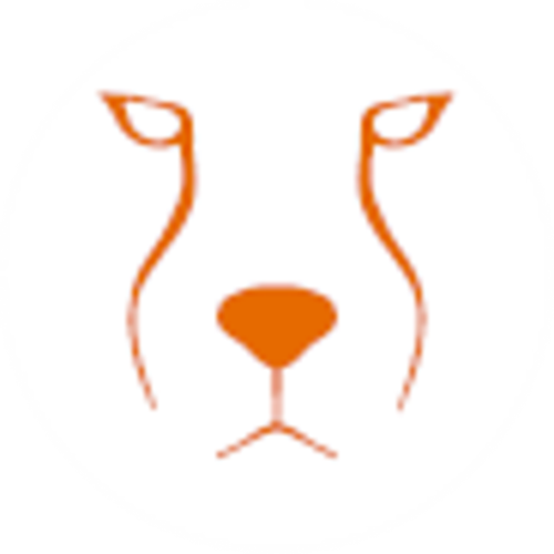 Acinonyx Web Agency Logo