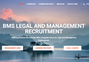 Goldfish SEO Project - BMS Recruitment, Web Design, Development and SEO