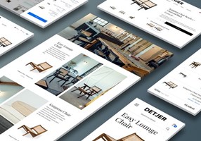 WHITE Digital Agency Project - B2B & B2C Webshop - DETJER