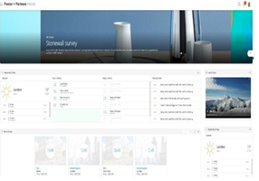 BAPits Project - foster web