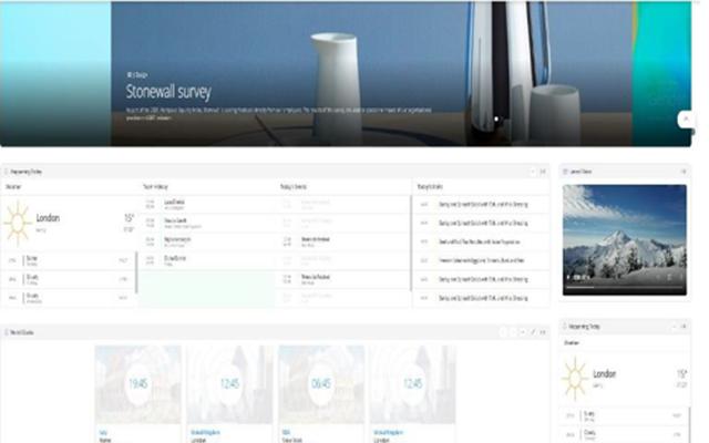 BAPits Project - foster web