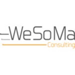 WeSoMa Consulting GmbH Logo