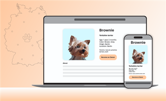 Chudovo OÜ Project - Animal Shelter Software