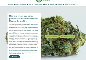 Limbus Studio Project - greenexperts.fr e-commerce website