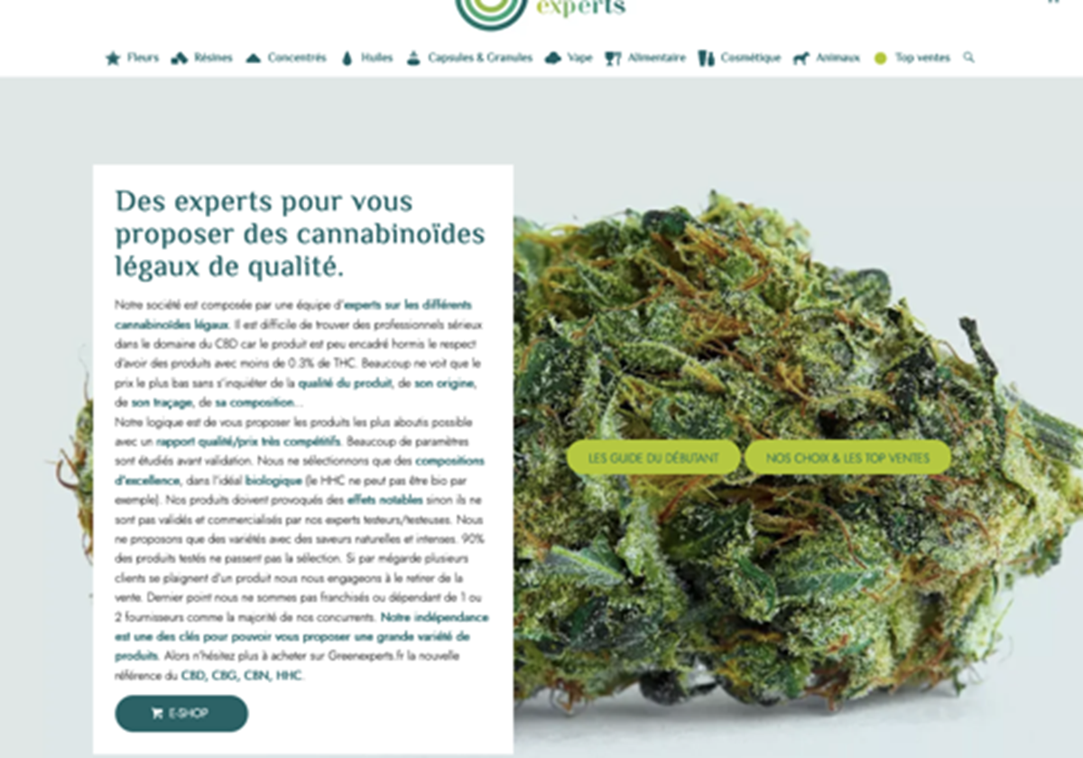 greenexperts.fr e-commerce website - Green Experts