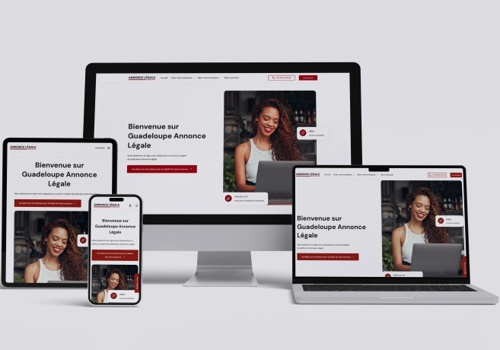 IDNET Project - Development of Three Legal Ads Posting Websites