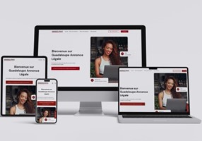 IDNET Project - Development of Three Legal Ads Posting Websites