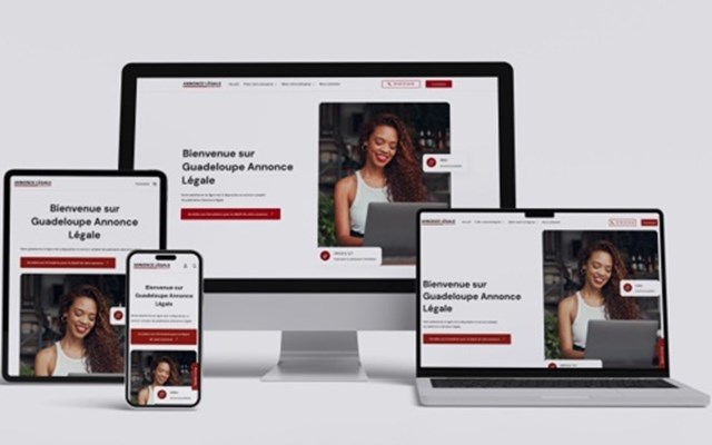 IDNET Project - Development of Three Legal Ads Posting Websites
