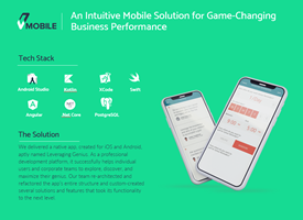 V-Mobile Project -