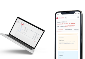 Loiband Project - Normafin Web Product