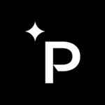 Paradigm Logo