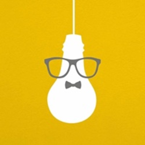 Brainwaves India Logo