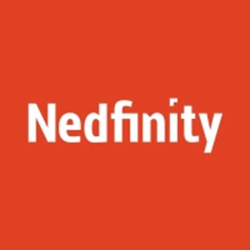 Nedfinity Digital Agency Logo