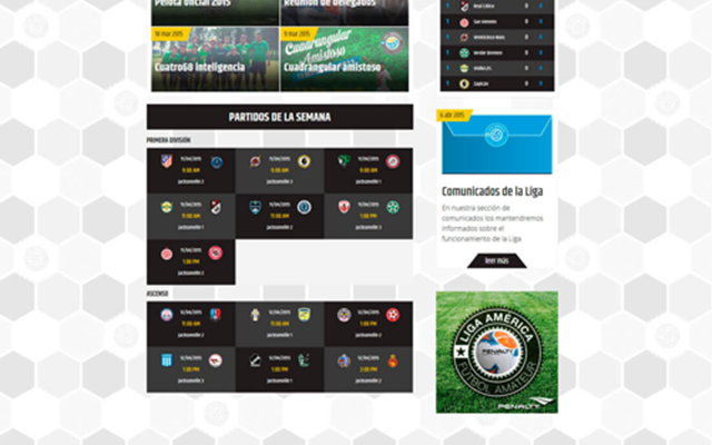 Markenetics Project - Soccer League with administration players and forms