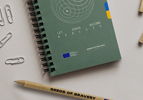 idealers Project - Branding and Communication Strategy SEEDS OF BRAVE