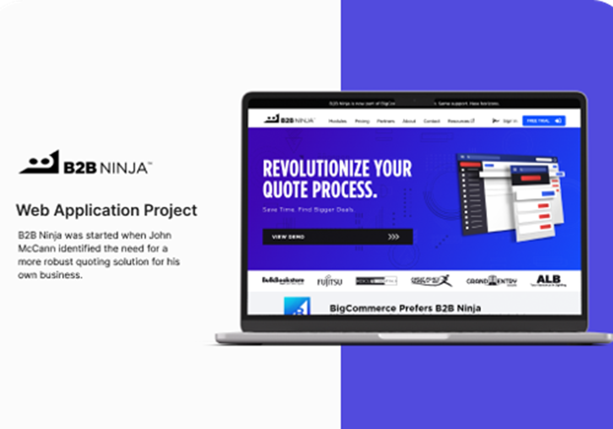 Marketing site Web Development for B2B Ninja - 
