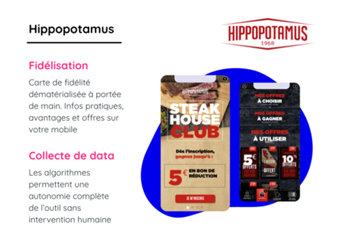Hippopotamus - 