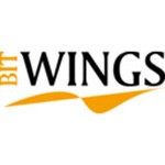 BITWINGS GmbH & Co. KG Logo
