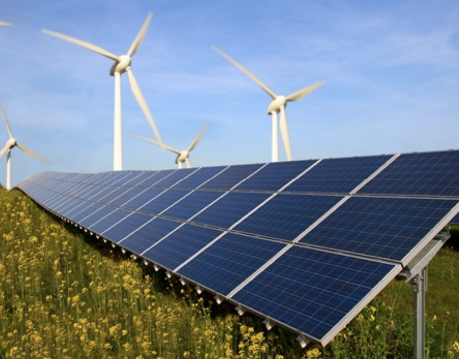 EcoSubsidy App: Enhancing Green Initiatives