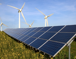 Solway Project - EcoSubsidy App: Enhancing Green Initiatives