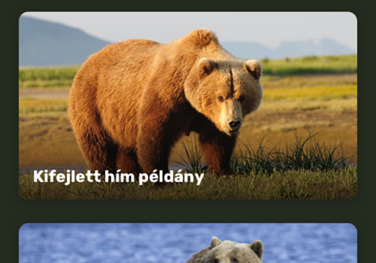  - Kopo