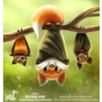 FLYINGFOX CREATIONS Logo