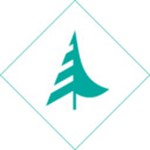 TREE.M MEDIEN GmbH Logo