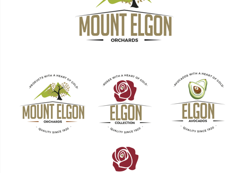 PigWorks Project - Mount Elgon Orchards