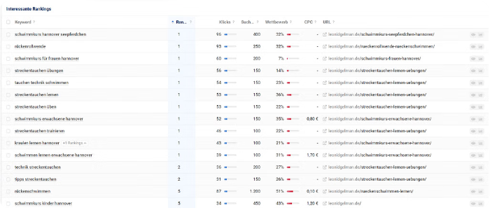Netzbekannt GmbH Project - SEO for leonidgelman.de