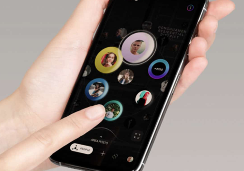 WinSoft.io Project - Social network in the Chinese market