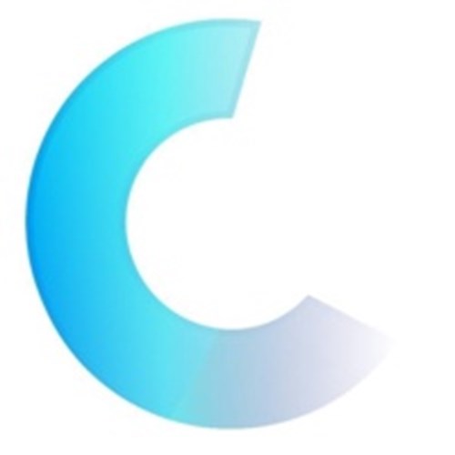 Cridiqa Logo