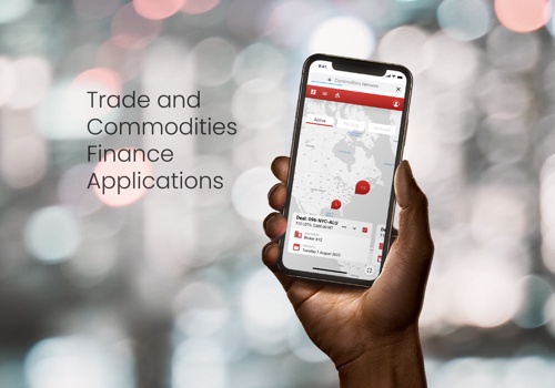 Ionita Consulting Project - Trade & Commodities Finance Application