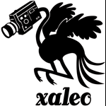 xaleo studio