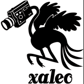 xaleo studio Logo