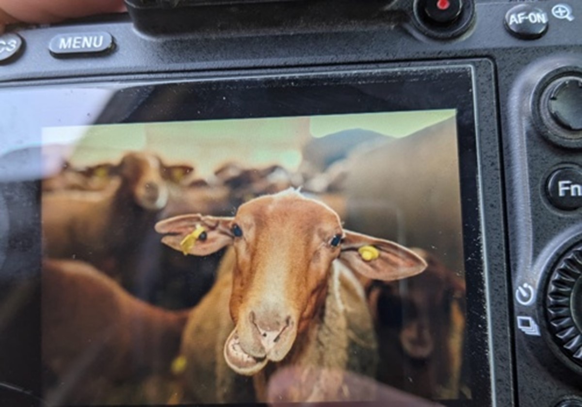 Production of videos and photos for Arkolia - Arkolia