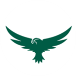 SafeLaunch Software - Out of Business Logo