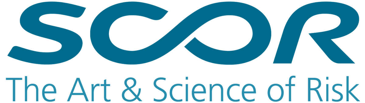 Interim Data Partner