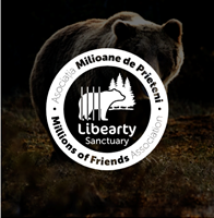 ONLINE HUB Project - Rebranding & Website build