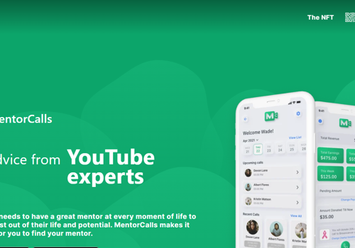 Hive Ive Solutions Project - Mentor Calls