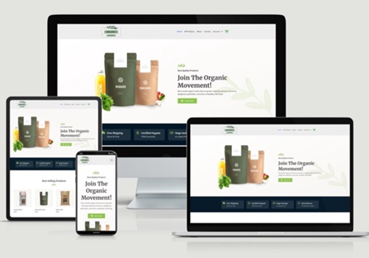 The Organic Store - 