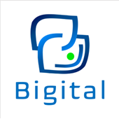 Bigtial Business Solutions LLP Logo