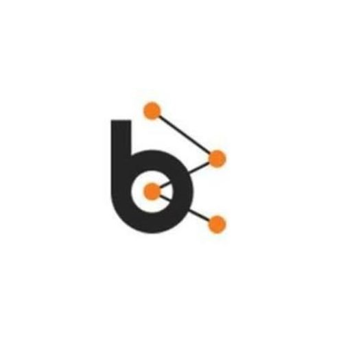 Bluebash Logo