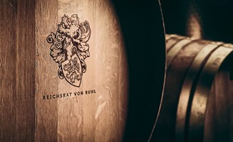 borntocreate GmbH Project - Rebranding und Website Launch