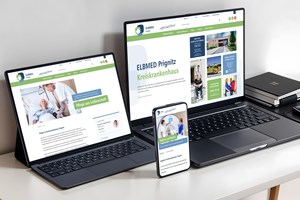 Rebranding of the umbrella brand, relaunch of 6 websites with WordPress on MultiSite system